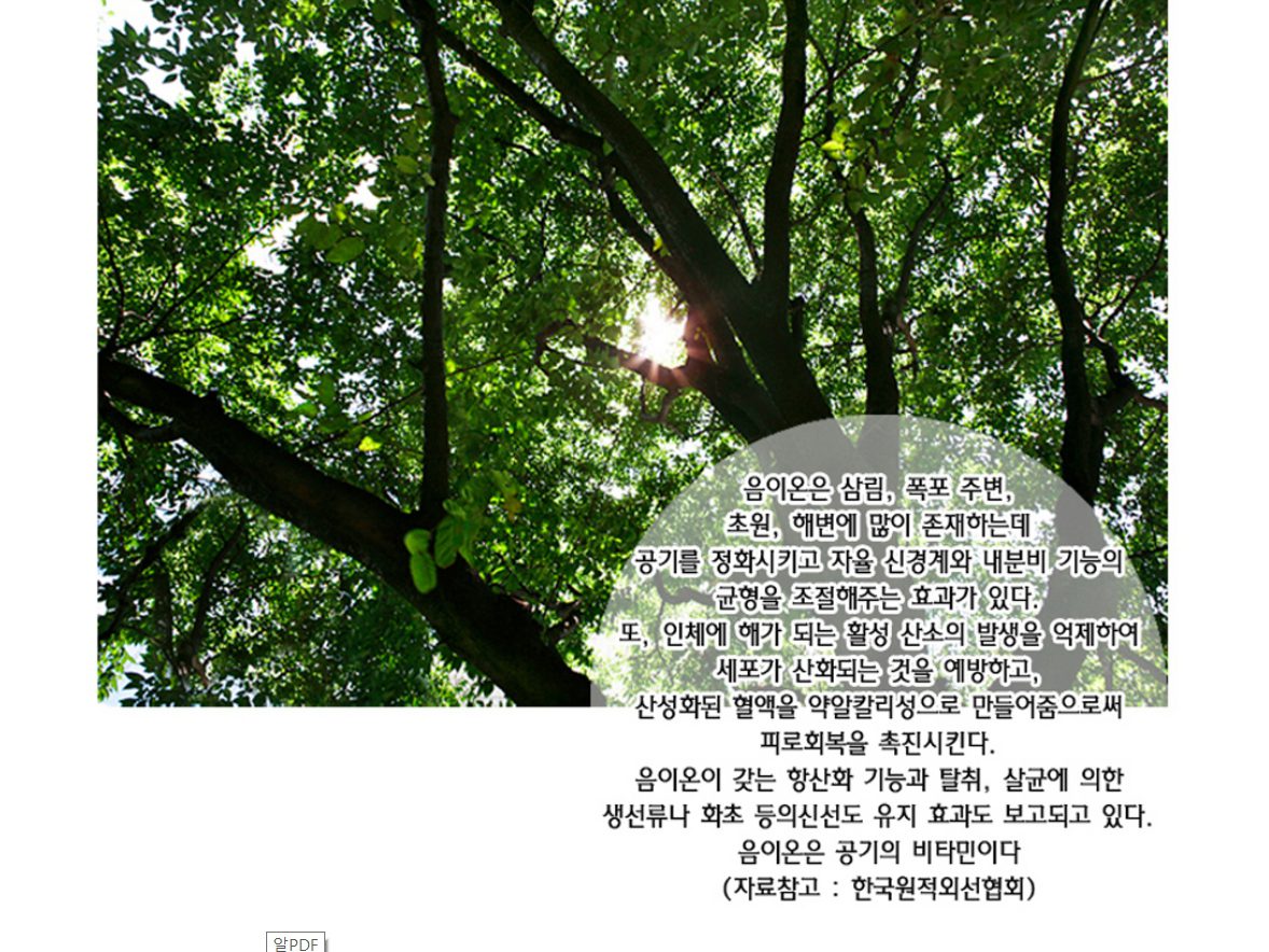 탄소섬유난방 면상발열체 PTC필름난방 인성에너지