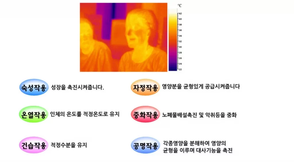 탄소섬유난방 탄소난방 탄소필름 원적외선난방 건식난방 인성에너지